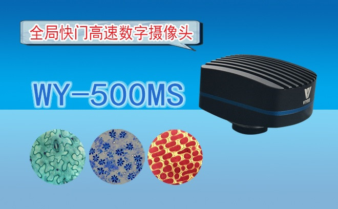 生命科學香蕉视频91色版的觀察方式