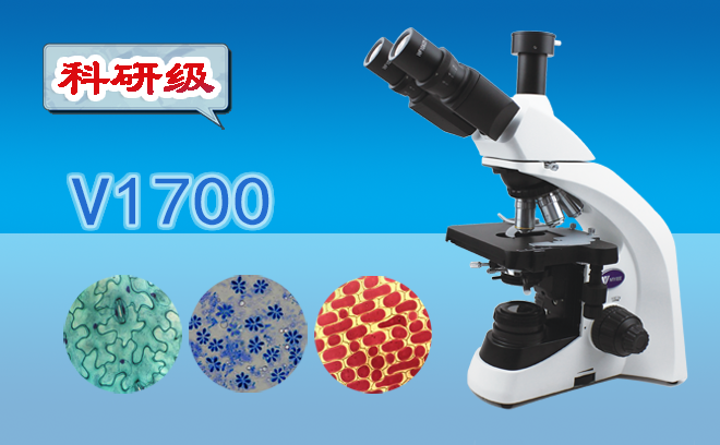 生物香蕉视频91色版的分類和使用方法是什麽呢？