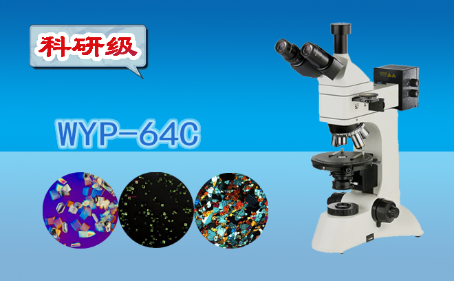 偏光香蕉视频91色版之偏振現象