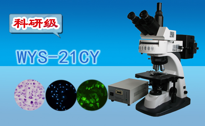 熒光香蕉视频91色版技術包括哪幾種？