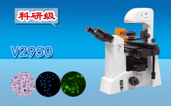 熒光香蕉视频91色版.png 熒光香蕉视频91色版.png