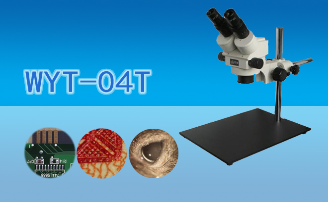 體視香蕉视频91色版.jpg 體視香蕉视频91色版.jpg