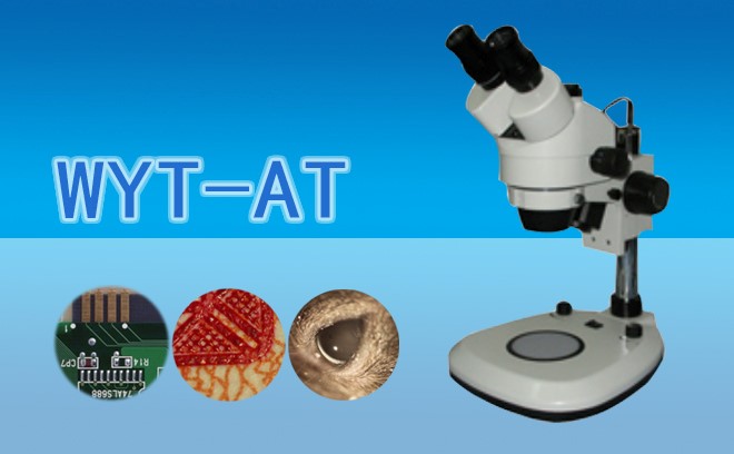 1665218323108885.jpg 體視香蕉视频91色版1.jpg