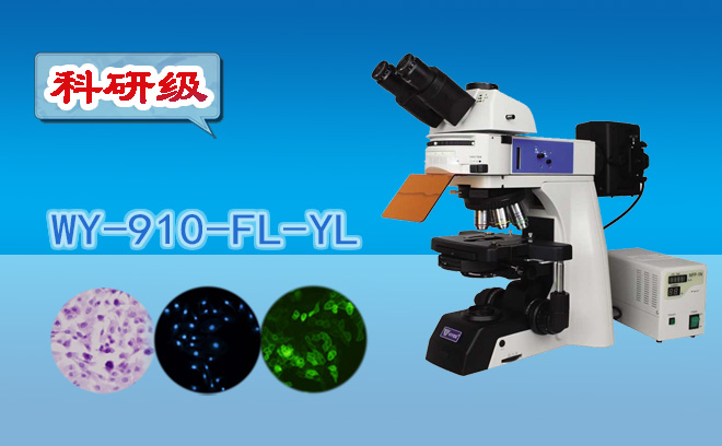 1671081533186168.png 熒光香蕉视频91色版.png